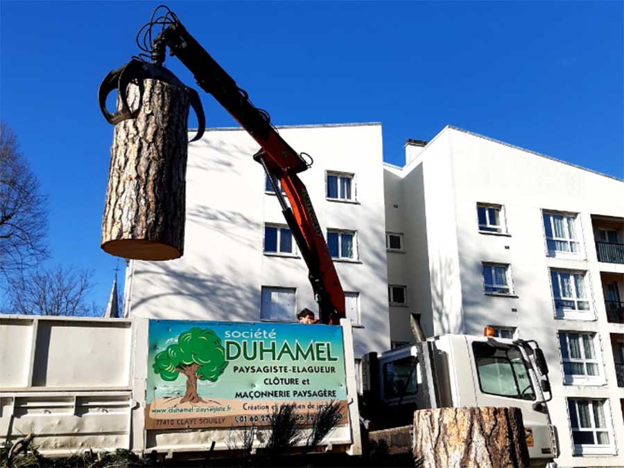 Réalisation Duhamel Elagage Abattage