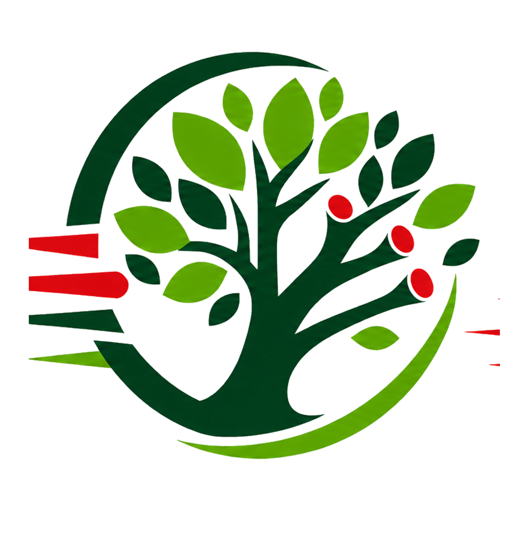 Logo Elagage Express